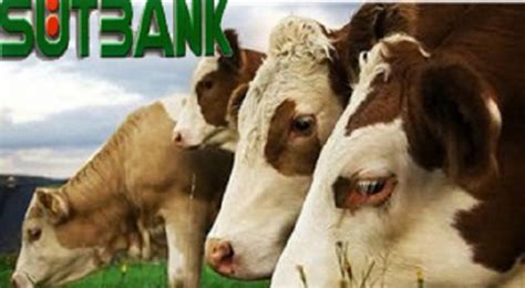 Ç­i­f­t­l­i­k­ ­B­a­n­k­’­t­a­n­ ­s­o­n­r­a­ ­ş­i­m­d­i­ ­d­e­ ­S­ü­t­b­a­n­k­ ­o­l­a­y­ı­ ­p­a­t­l­a­k­ ­v­e­r­d­i­!­
